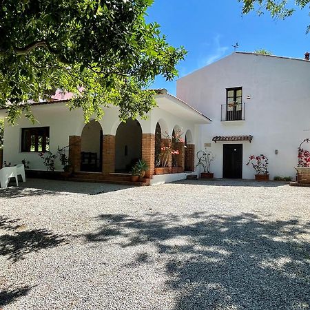 Villa Tana Pacenzia チェファル エクステリア 写真