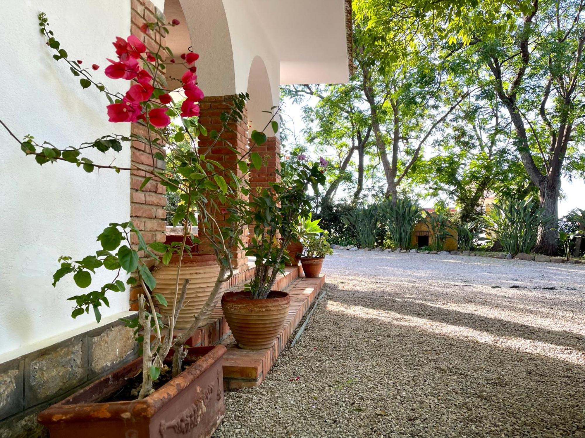 Villa Tana Pacenzia チェファル エクステリア 写真